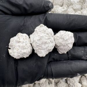 Buy Lemon Cherry Push Pop Online